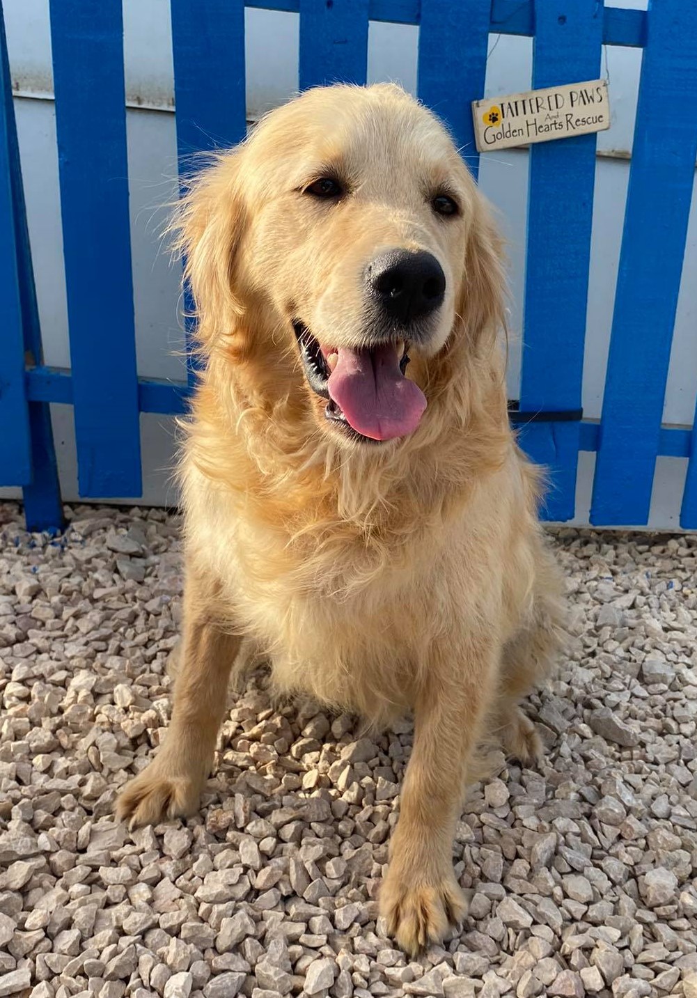 Bailey (fka Birdie) 